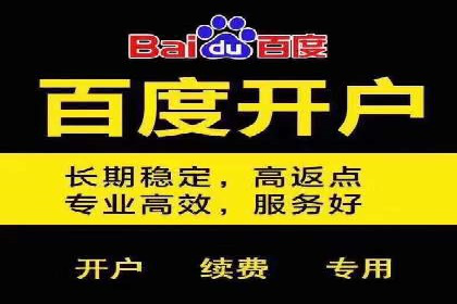 金融行业SEM运营托管的策略与效果